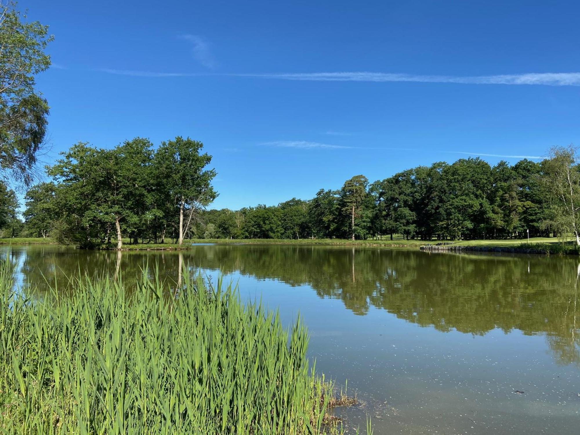 Domaine Du Roncemay - Hotel, Restaurants, Spa & Golf Aillant-sur-Tholon المظهر الخارجي الصورة